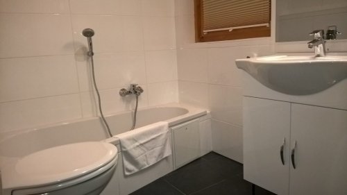 "Blockhaus Fini" apartman: fürdőszoba