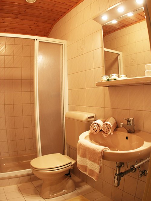 "Poludnig" apartman: fürdőszoba
